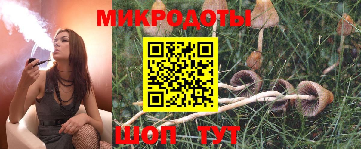 Галлюциногенные грибы MAGIC MUSHROOMS Юрга